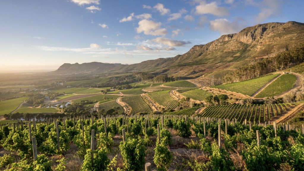cape-town-winelands-wine-route
